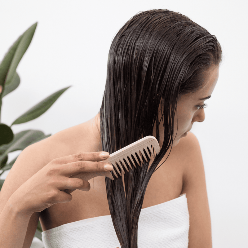 Holistic Hair Growth Kit